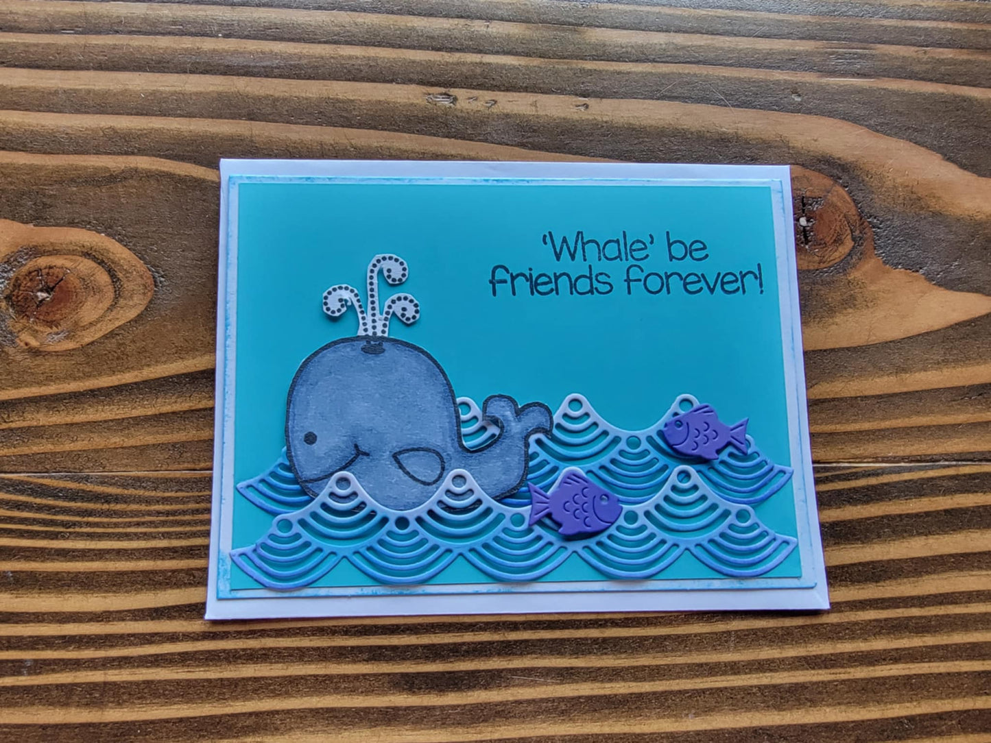 Whale of a Time Cards Collection